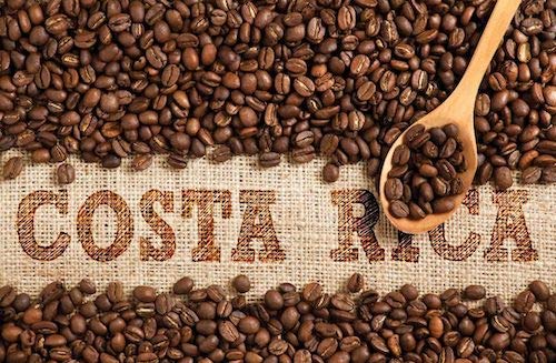 Cafe 1820 Molido - Costa Rica Gourmet Ground Premium Coffee - 4.4 oz / 125 gr - 3 Pack