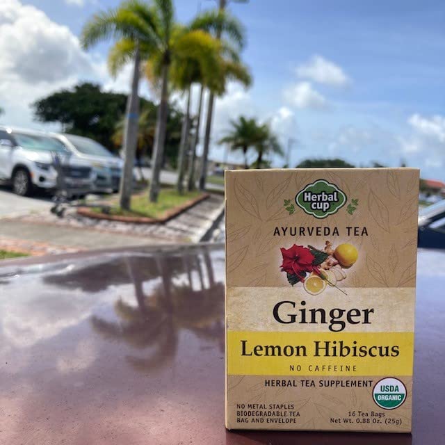 Herbal Cup Ayurveda Ginger Tea No Caffeine Organic Herbal Teas (Organic Lemon Hibiscus 16 Count (Pack of 6))