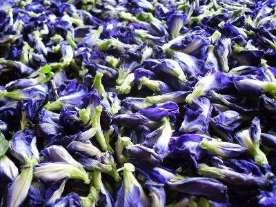 Butterfly pea Flowers Whole Dried Herb 100% (1000 g)