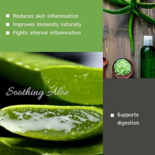 HERBAL HILLS Aloe Vera Capsules (Aloe barbadensis) | 120 Capsules (500 mg) | Pure Aloe Freeze Dried Powder Supplement High Concentration Supports Overall Well-Being