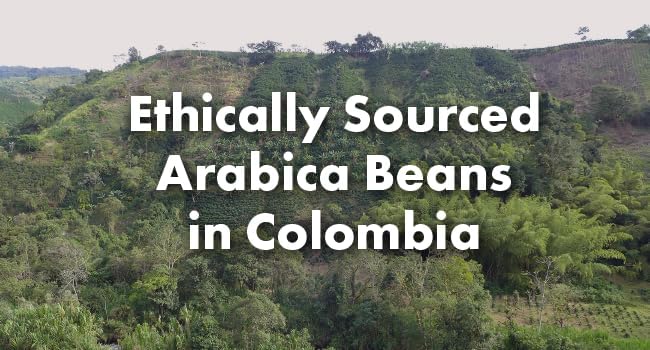 Café Grumpy Colombia Medium Roast Coffee Organic Single Origin French Press Grind Premium Medium Grind for Pour Over &amp Cold Brew Espresso 12oz