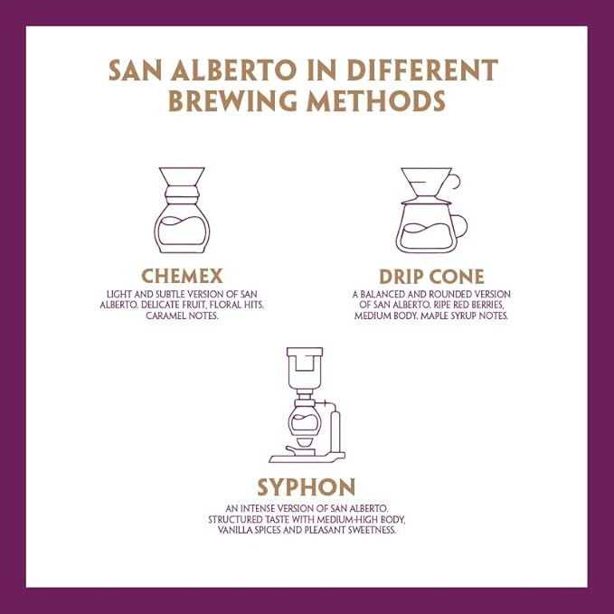 San Alberto Whole Bean Coffee - Single Origin &amp Specialty Colombian Arabica Coffee Dark Roast with Caramel &amp Dark Chocolate Notes - 12 oz