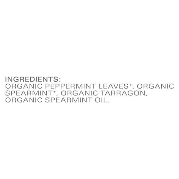 TAZO Refresh Mint Herbal Tea Bags with Peppermint and Spearmint Caffeine Free 96 Total Tea Bags (16ct - Pack of 6)
