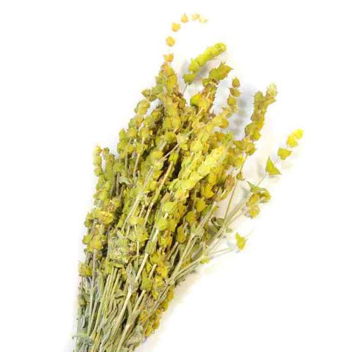 Greek Infusion Herbs the Mountain Tea (Sideritis Syriaca)65g 2.29oz