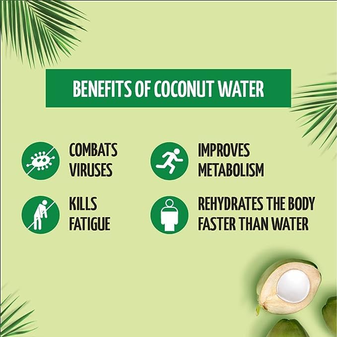 Yeshvi NATURAL Mojito Drink Powder &amp Tender Coconut Water Powder With Aam Panna Powder Combo Pack Instant Drink Mix Powder Immunity Minerals Summer Drink 300gm