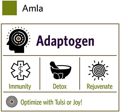 ORGANIC INDIA Amla Powder - Holy Basil Immune Support Vitamin C for Immune System Vegan Kosher Ayurvedic Superfood Antioxidants Non-GMO Amla Powder Organic - 1 Lb Bag