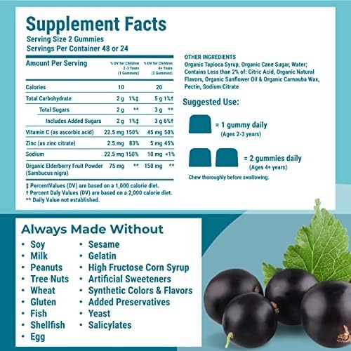 Hyland's Kids Organic Elderberry Plus Gummies Organic Black Elderberry with ZINC and Vitamin C Immune Support for Children 48 Vegan Gummies