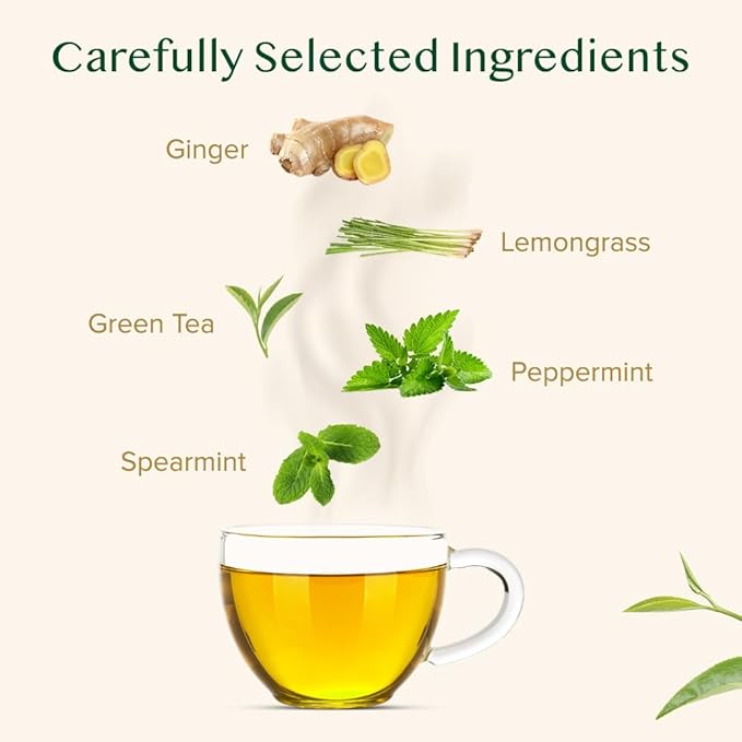 VAHDAM Ginger Mint Green Tea Bags (100 Count) High Grown Green Tea with Raw Ginger | Medium Caffeine | Non GMO Gluten Free | Mint Tea Bags | Resealable Ziplock Pouch