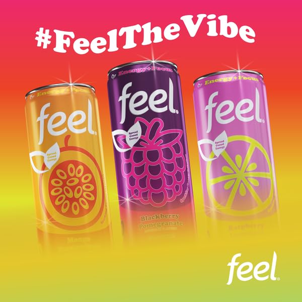 FEEL Zero Sugar Natural Energy Drink Variety Pack – Blackberry Pomegranate Mango Passionfruit &amp Raspberry Lemonade 140mg Plant-Based Caffeine with L-Theanine for Focus Vitamin C for Immunity V