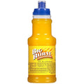 Big Burst Citrus Punch Drink 16 Fluid Ounce -- 24 per case.