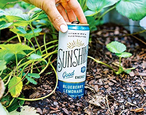 Sunshine Beverages LLC Good Energy Drink Blueberry Lemonade 12 Fl Oz