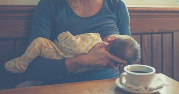 Birds &amp Bees Teas - Organic Lactation Tea - Our Lady of La Leche Breastfeeding Supplement &amp Lactation Supplement to Boost Supply of Mother's Milk with Organic Herbs 40 Servings 6.5 oz