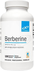 XYMOGEN Berberine - Plant-Based Berberine HCl Supplement for Cellular Metabolic &amp Immune Support* - Non-GMO Gluten-Free Vegan - 120 Capsules