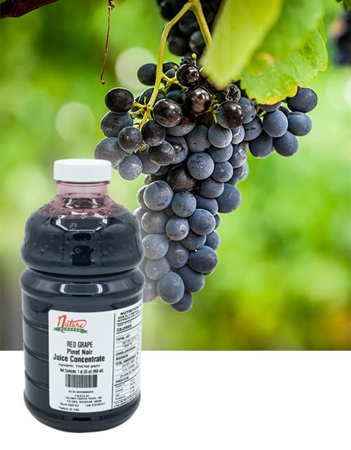 Nature Blessed 100% Pure Pinot Noir Red Grape Fruit Juice Concentrate - 4 Quarts (4/32 fl oz bottles) Excellent for Home Vintners or Brewers All Natural