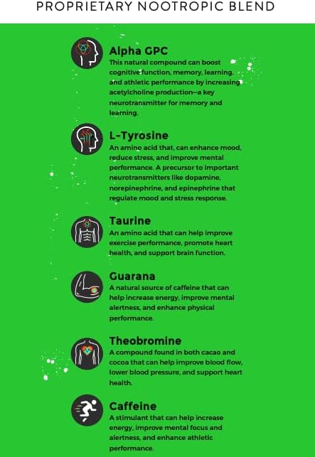 Fully Loaded Alpha Fuel Nootropic Pouches (Wintergreen Fuel) - Nootropic Energy Pouches with Caffeine Alpha GPC Tyrosine Taurine Guarana and More