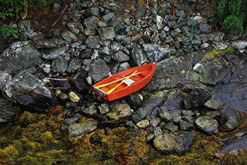Bladderwrack Black Rockweed Tea | Fucus Vesiculosus L | Herbal Tea | Health Embassy (100g)