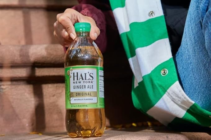 Hal's New York Original Ginger Ale 20 Fl Oz Bottles (Pack of 24)