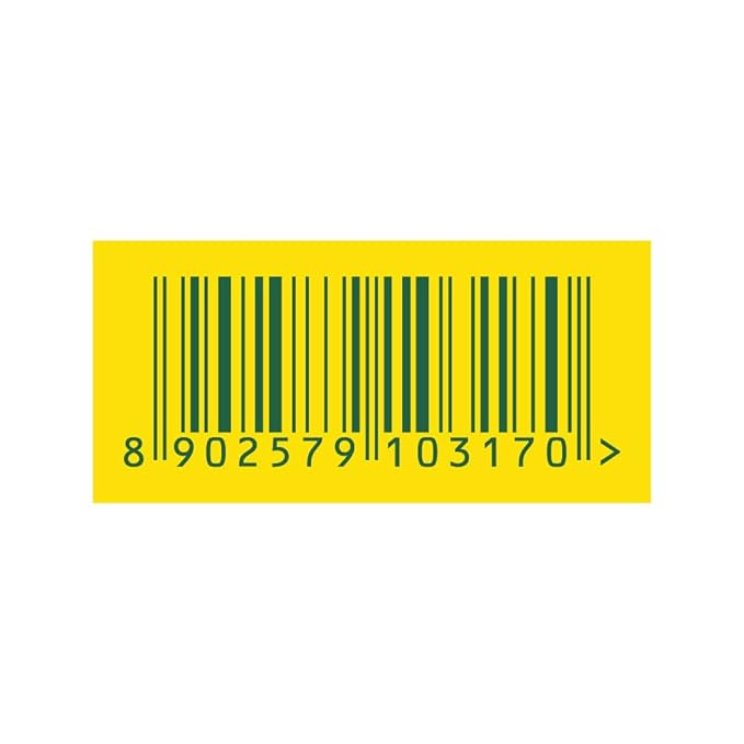Frooti Pet Bottle 600 ml