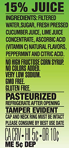 Langer's Cucumber Lime With Mint Juice Cocktail 10 Fl Oz (Pack of 12) (00341)