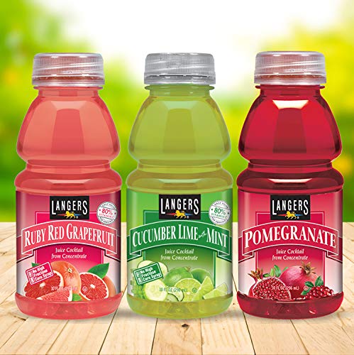 Langer's Cucumber Lime With Mint Juice Cocktail 10 Fl Oz (Pack of 12) (00341)
