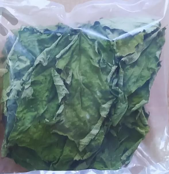 100 Turkey Berry Leaves Dried Healthy Well Cleaned Leaves- Pure &amp turkey Berry Leaves Cultivated From Sri Lanka And Gluten Free