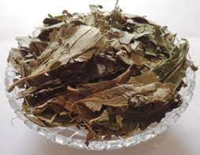 Organic Dried Parijat Leaves/Harshingar/Raat ki Rani/Night Queen/flowring Jasmine || 100 GM (2)