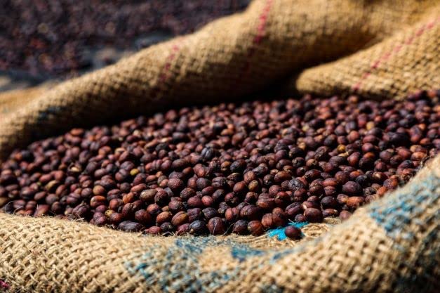 Yirgacheffe Ethiopia Single Origin | Organic | African Mirage | Ground Coffee |1lb 1-Pack