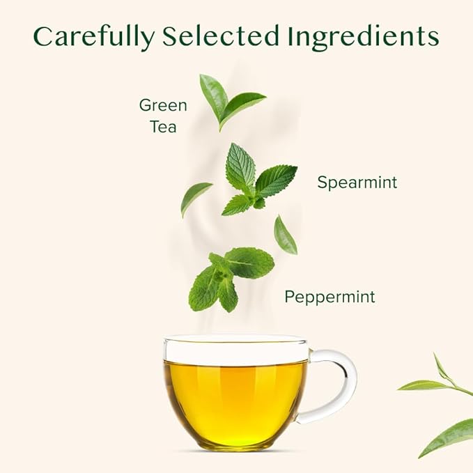 VAHDAM Mint Green Tea Bags (100 Count) 100% Pure Leaf Tea High Grown Low Caffeine Non GMO Gluten Free | Plant-Based Pyramid Tea Bags | Direct from Source