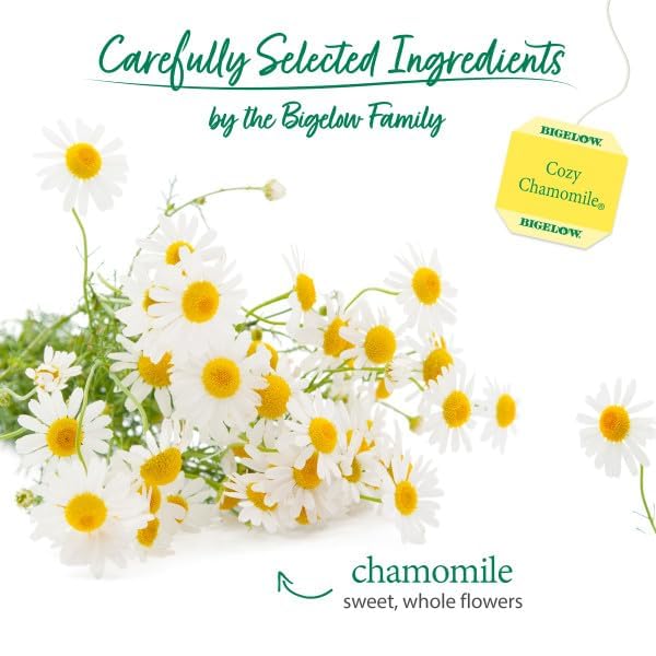 Bigelow Tea Cozy Chamomile Herbal Tea Caffeine Free Tea with Chamomile Flowers 20 Count Box (Pack of 6) 120 Total Tea Bags