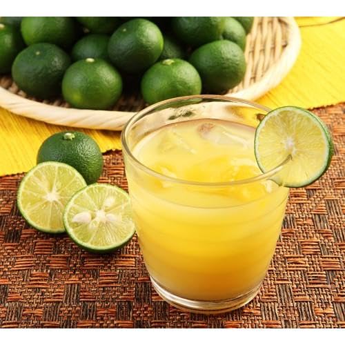 Okinawa Shikuwasa Juice 100% 16.90floz(500ml) Okinawa Gifts Sikuwasa Japanese Drinks