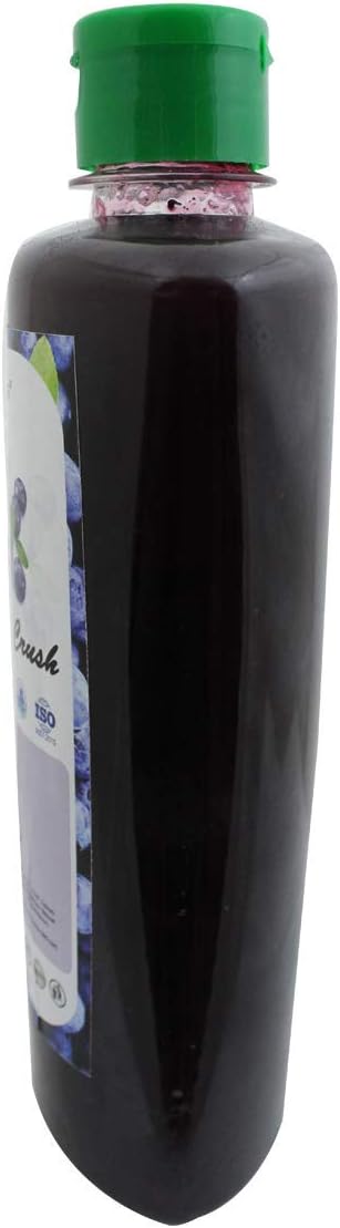 Astha Neotea Blueberry Crush Fruit Juicy and Delicious with Real Fruits pulps 250ml