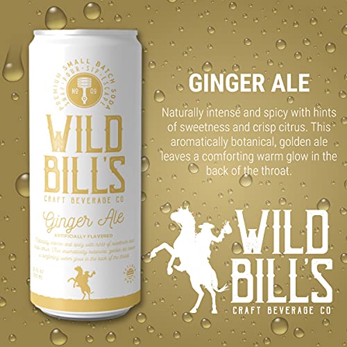 Wild Bill's Ginger Ale Soda Classic Craft Soda Pop Soft Drinks Sodas Made with Pure Cane Sugar Caffeine Free NO High Fructose Corn Syrup Gluten Free Vegan Low Sodium 12 Oz 12 Pack