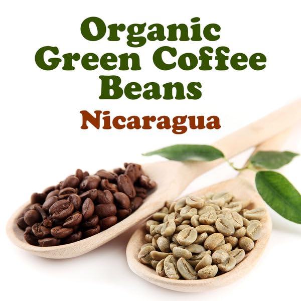 Food to Live Organic Nicaragua Arabica Green Coffee Beans 1.5 Pounds – Whole Unroasted Washed Bean. Fresh Crop. No-GMO Vegan Bulk