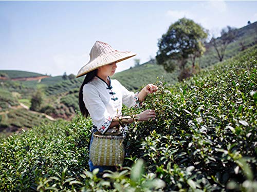 Luxtea Chinese Famous Tea – Grade AA (High Grade） (Xi Hu Long Jing (West Lake Dragon Well))