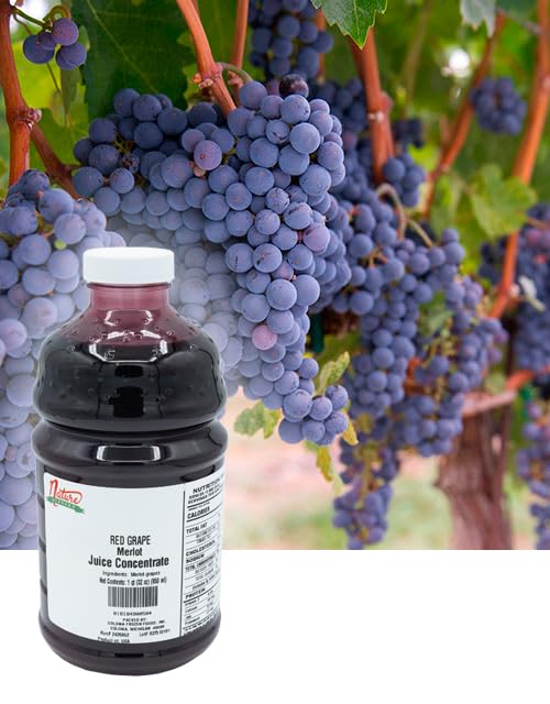 Nature Blessed 100% Pure Merlot Red Grape Fruit Juice Concentrate - 1 Quart (1/32 fl oz bottle) Perfect for wine making Brewers Spirits Ciders Smoothies