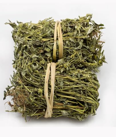 100g Euphorbia Hirta Asthma Plant Cut And Shifted - 100% Pure Natural Tea - Pure &amp Natural Asthma Plant Cultivated From Sri Lanka And Gluten Free- 100% Pure Premium Quality for Brewing Herbal Te