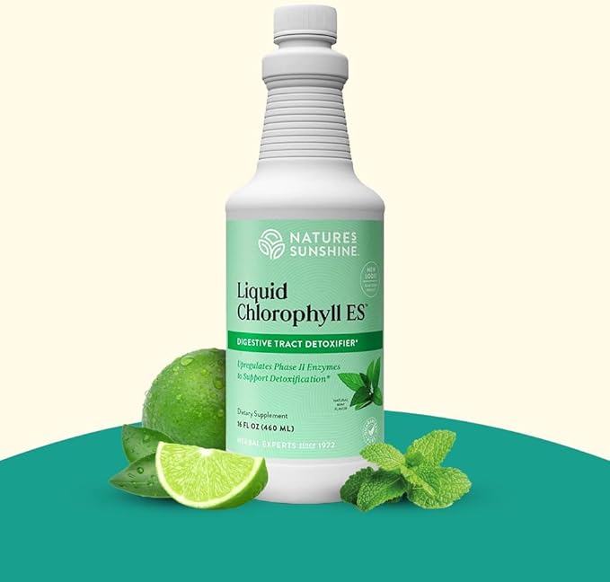 Nature's Sunshine Liquid Chlorophyll - Immunity Support Detox &amp Cleanse Chlorophyll Liquid Drops with Spearmint Oil Natural Energy Boost Internal Deodorant - 16 Fl Oz