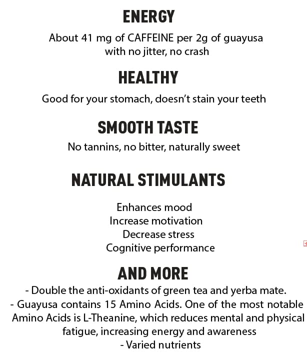GUAYUSA TEA BAGS by PACHA | Naturally High in Antioxidants L-Theanine &amp Theobromine | Sustained Energy Herbal Tea | Alternative to Yerba Mate Coffee Black and Green Tea. (50 Count Guayusa)