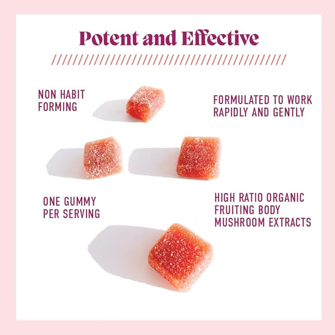 Microjoy Elevate – Mood Support Relaxation &amp Stress Relief Gummies – with L-Theanine Lion’s Mane 5-HTP &amp B6 – Vegan Non-GMO – 30ct – Strawberry