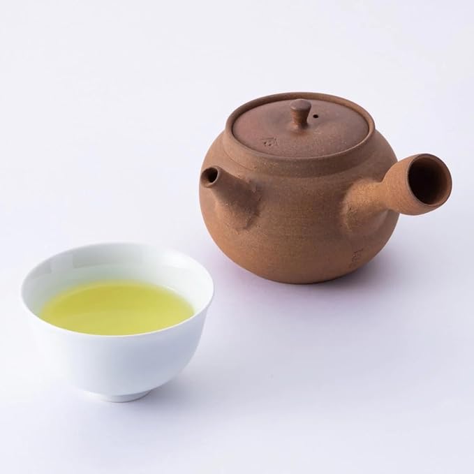 Ippodo Tea - Hosen Sencha (2.82oz Bag) - Medium &amp Balanced - For Everyday Enjoyment - Kyoto Since 1717