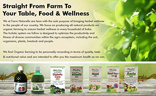 Farm Naturelle 100 % Pure Herbal Giloy Juice 400 ml-No ed Sugar and Honey 55g x 1