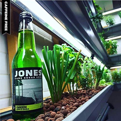 Jones Soda 12 ounce Glass Bottles (Green Apple 6 Bottles)