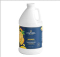 Mango Fruit Smoothie Mix 64 fl. oz. WS-513SMMANGO-NPF