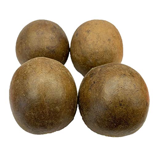Dried Luo Han Guo/Monk Fruit Special Big Sized Natural Herb (12 Pieces)