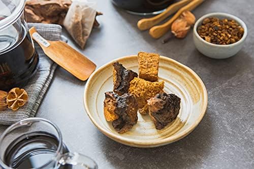Tao Chaga – Wild Harvested Canadian Chaga Mushroom Chunks 16oz (1 lb) | 100% Organic &amp Authentic | Health Canada Approved