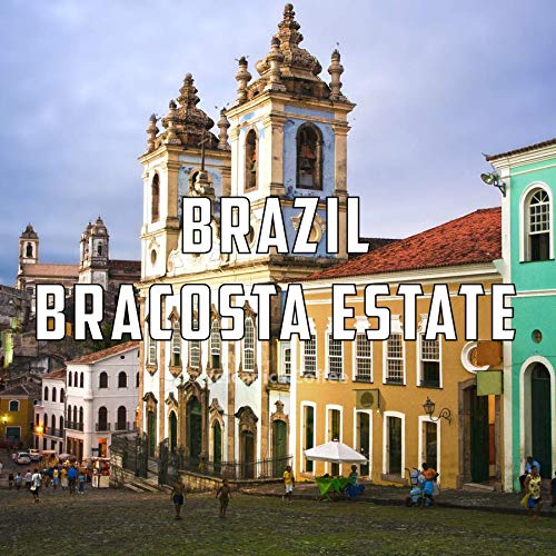 Brazil Coffee Bracosta Estate Whole Bean Fresh Roasted Kosher 16-ounce (Pack of 2)