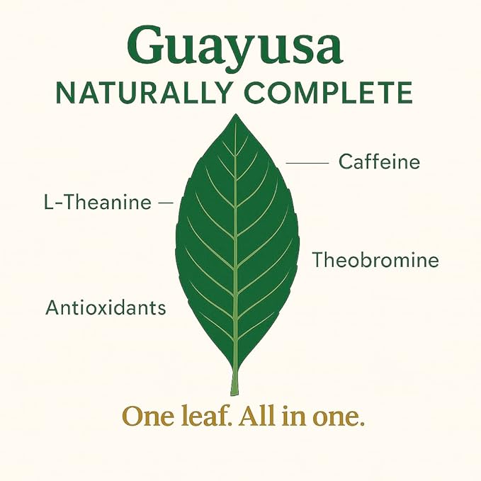 GUAYUSA TEA BAGS by PACHA | Naturally High in Antioxidants L-Theanine &amp Theobromine | Sustained Energy Herbal Tea | Alternative to Yerba Mate Coffee Black and Green Tea. (50 Count Guayusa)