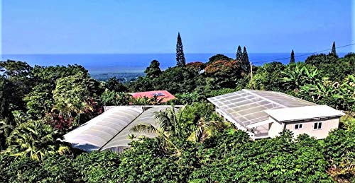 100% Kona Coffee – GROUND Dark roast Single estate gourmet coffee 16 ounces Ships direct from Domain Kona farm fresh