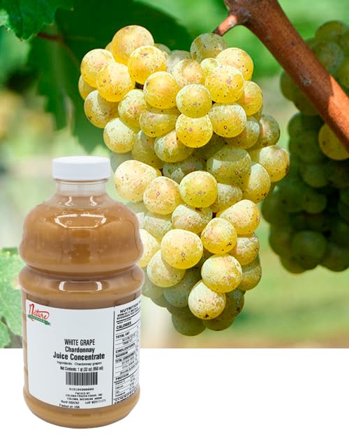 Nature Blessed 100% Chardonnay White Grape Fruit Juice Concentrate - 2 Quarts (2/32 fl oz bottles) Applications: Home Wine Making Home Brewing Distilling Ale Smoothies Making Jelly