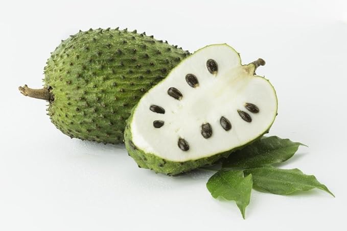 SWAN LIFE ESSENTIALS Soursop Graviola Tea K-Cups - Antioxidant Digestion Immune Booster - 1 Box 10 K-cups